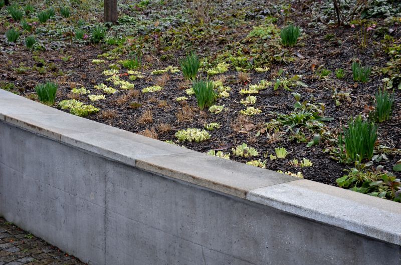 Retaining Wall Installation in Rockwall, TX